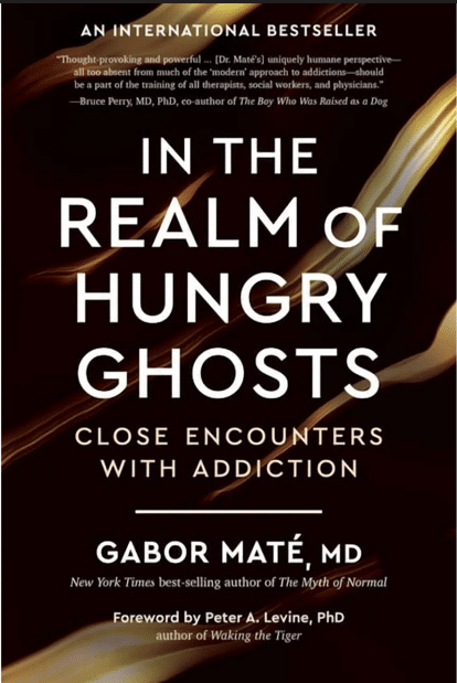 In the Realm of Hungry Ghosts book cover