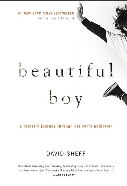 Beautiful Boy book cover